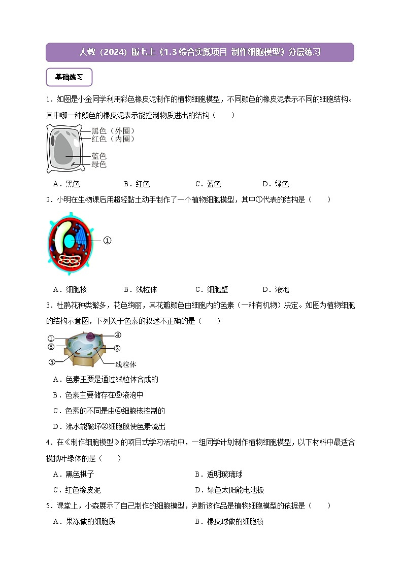 《1.3综合实践项目 制作细胞模型》分层练习第1页