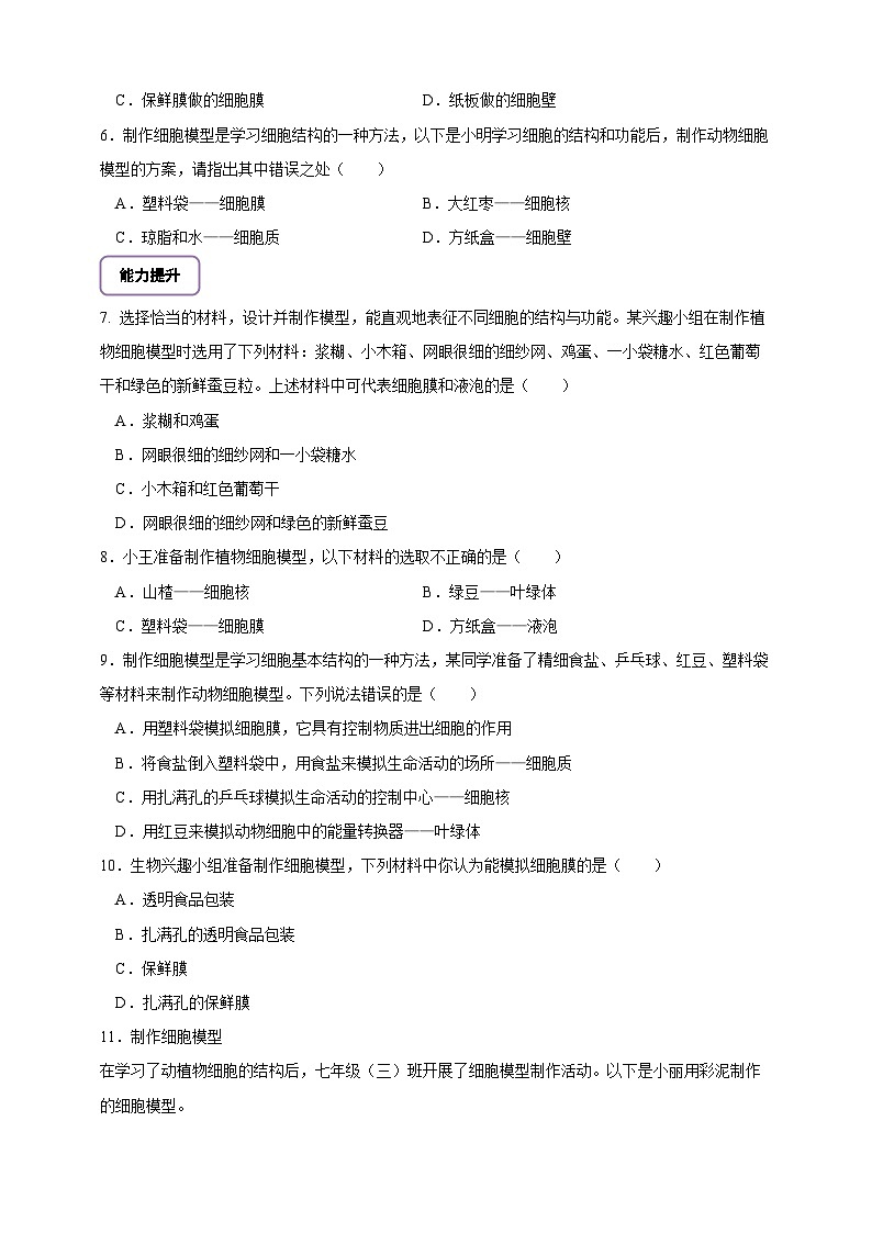 《1.3综合实践项目 制作细胞模型》分层练习第2页