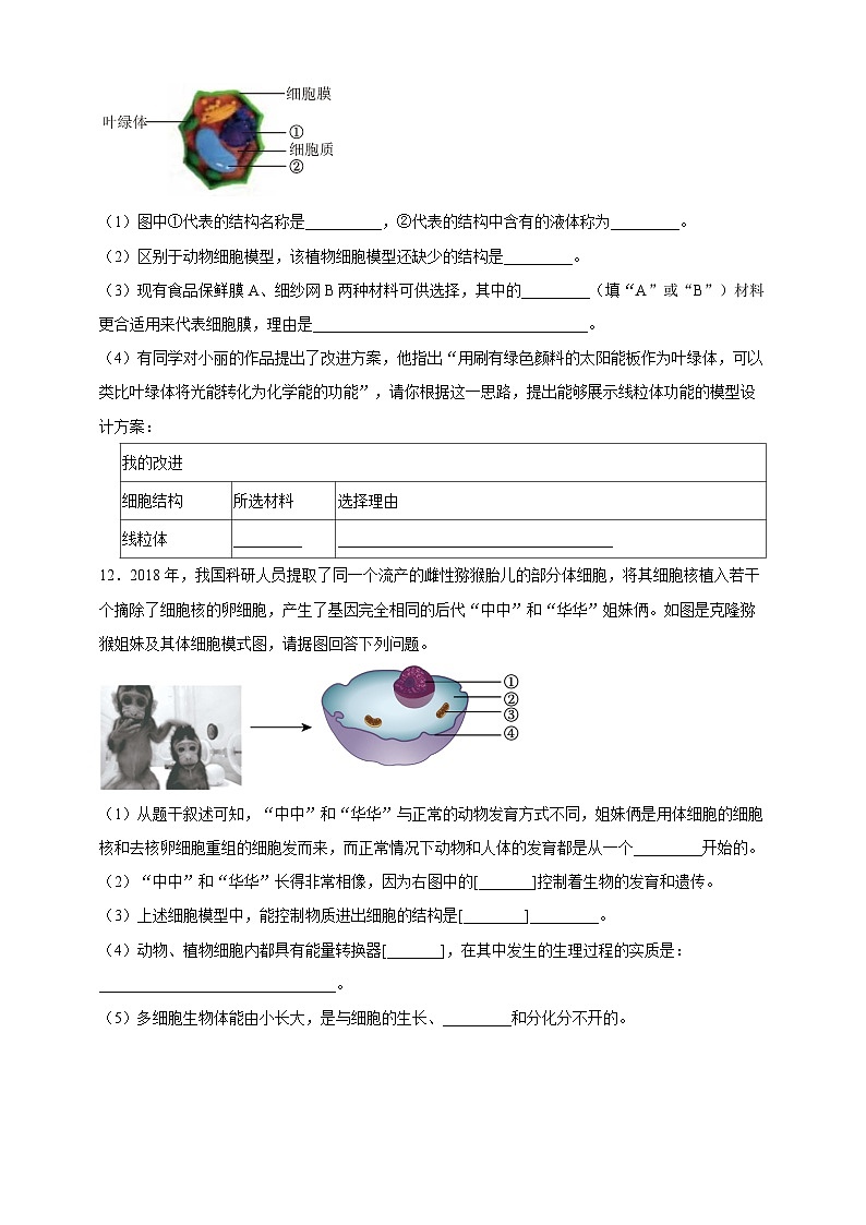 《1.3综合实践项目 制作细胞模型》分层练习第3页