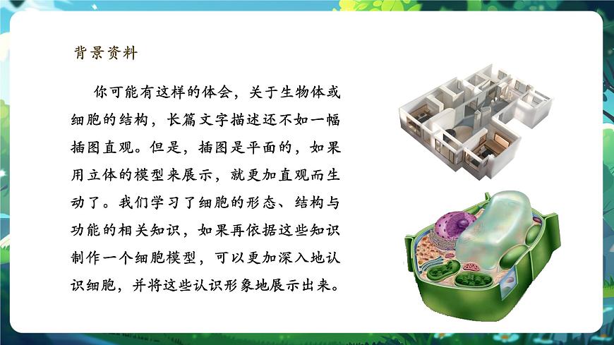 《1.3综合实践项目 制作细胞模型》课件第5页