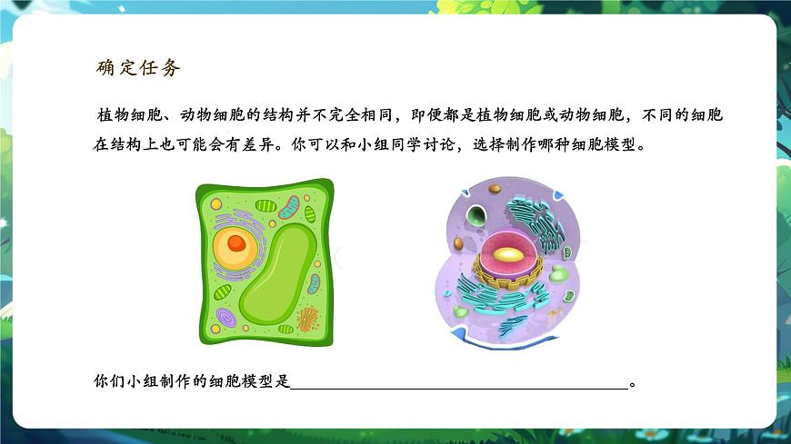 《1.3综合实践项目 制作细胞模型》课件第6页