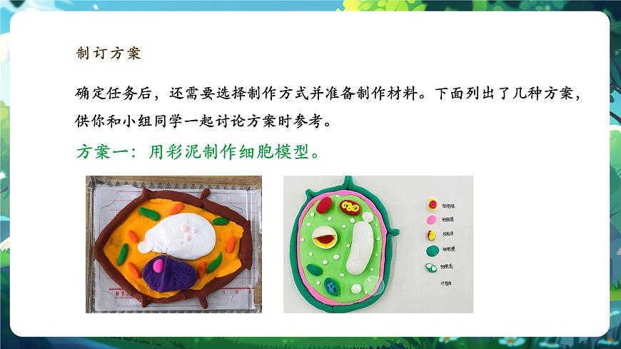 《1.3综合实践项目 制作细胞模型》课件第7页