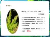 【核心素養(yǎng)優(yōu)質(zhì)課】人教版生物七年級下冊2.1.1.1藻類、苔蘚和蕨類（第一課時）（課件+教案+學案+練習+大單元整體教學設(shè)計）