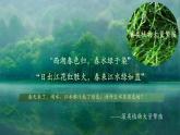 【核心素養(yǎng)優(yōu)質(zhì)課】人教版生物七年級下冊2.1.1.1藻類、苔蘚和蕨類（第一課時）（課件+教案+學案+練習+大單元整體教學設(shè)計）