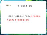 【核心素養(yǎng)優(yōu)質(zhì)課】人教版生物七年級下冊2.1.2.2種子植物（第二課時）（課件+教案+學(xué)案+練習(xí)+大單元整體教學(xué)設(shè)計）