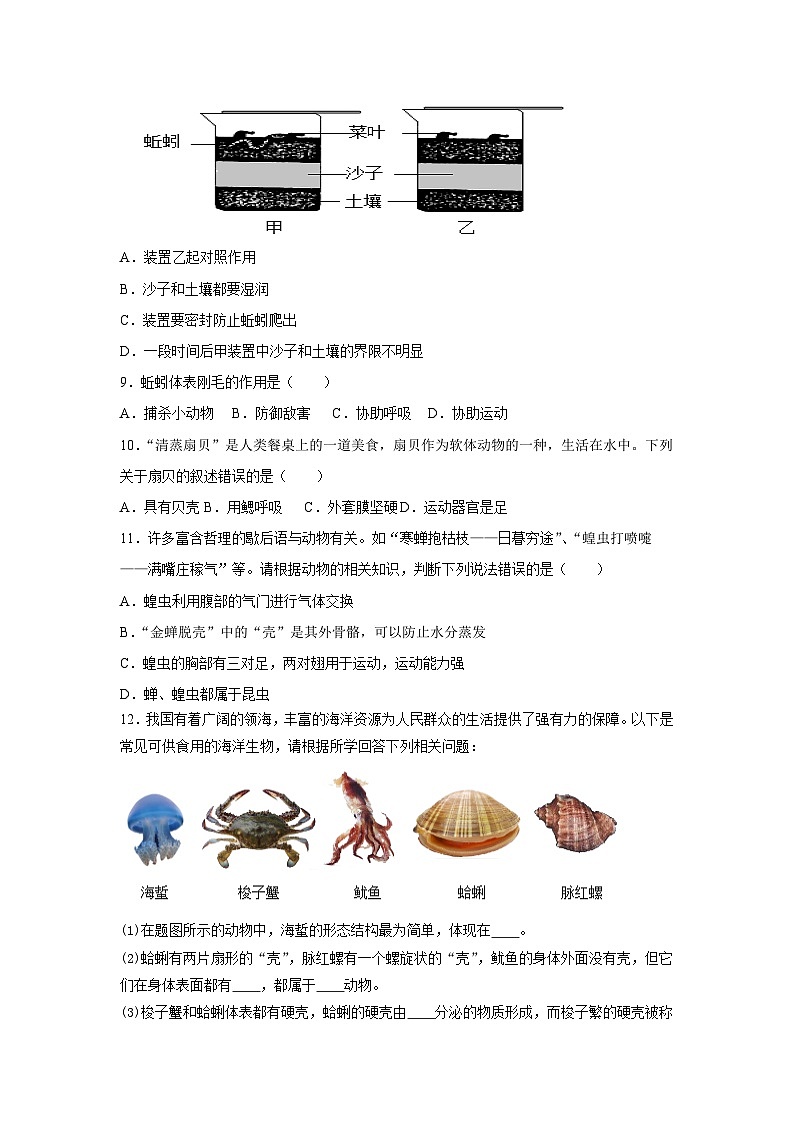 人教版七上 2.2.1无脊椎动物 分层练习（含答案）第2页