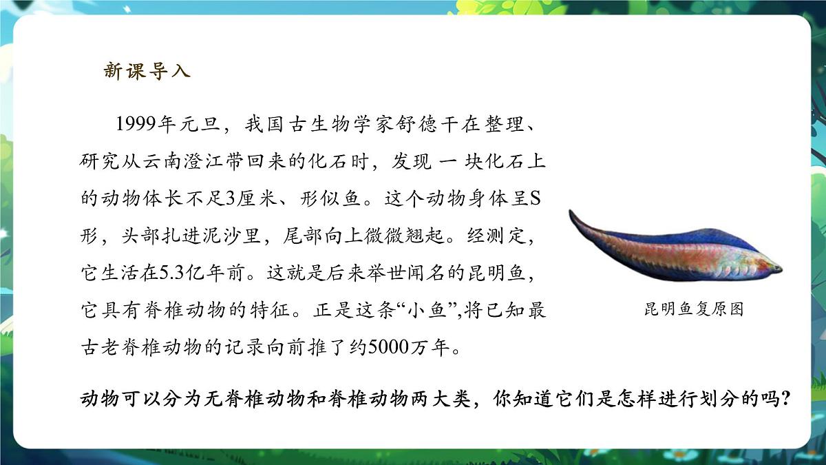 《2.2.1无脊椎动物》课件第3页