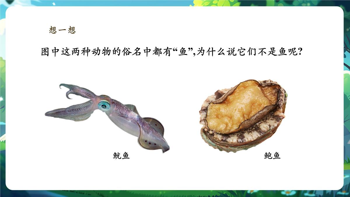《2.2.1无脊椎动物》课件第4页