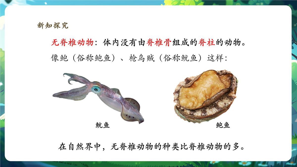 《2.2.1无脊椎动物》课件第7页