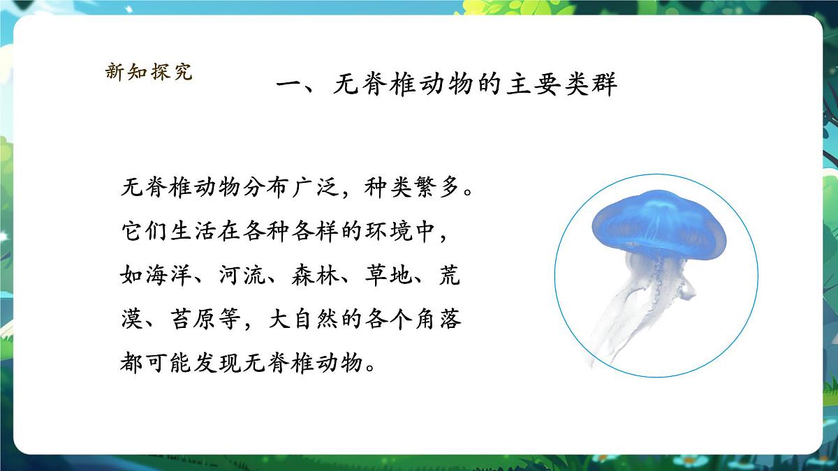 《2.2.1无脊椎动物》课件第8页