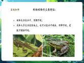 【核心素養(yǎng)優(yōu)質課】人教版生物七年級下冊2.2.2.2兩棲動物和爬行動物（第二課時）（課件+教案+學案+練習+大單元整體教學設計）