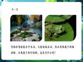 【核心素養(yǎng)優(yōu)質課】人教版生物七年級下冊2.2.2.2兩棲動物和爬行動物（第一課時）（課件+教案+學案+練習+大單元整體教學設計）