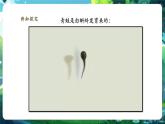 【核心素養(yǎng)優(yōu)質課】人教版生物七年級下冊2.2.2.2兩棲動物和爬行動物（第一課時）（課件+教案+學案+練習+大單元整體教學設計）