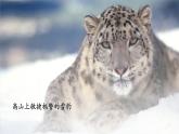 【核心素養(yǎng)優(yōu)質(zhì)課】人教版生物七年級(jí)下冊(cè)2.2.2.3鳥(niǎo)和哺乳動(dòng)物（第二課時(shí)）（課件+教案+學(xué)案+練習(xí)+大單元整體教學(xué)設(shè)計(jì)）