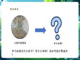 【核心素養(yǎng)優(yōu)質(zhì)課】人教版生物七年級(jí)下冊(cè)2.3.2細(xì)菌（課件+教案+學(xué)案+練習(xí)+大單元整體教學(xué)設(shè)計(jì)）