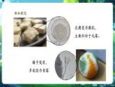 【核心素養(yǎng)優(yōu)質(zhì)課】人教版生物七年級(jí)下冊(cè)2.3.3真菌（課件+教案+學(xué)案+練習(xí)+大單元整體教學(xué)設(shè)計(jì)）