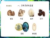 【核心素養(yǎng)優(yōu)質(zhì)課】人教版生物七年級(jí)下冊(cè)2.3.3真菌（課件+教案+學(xué)案+練習(xí)+大單元整體教學(xué)設(shè)計(jì)）