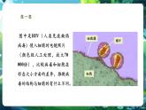 【核心素養(yǎng)優(yōu)質(zhì)課】人教版生物七年級(jí)下冊(cè)2.3.4.1病毒（第一課時(shí)）（課件+教案+學(xué)案+練習(xí)+大單元整體教學(xué)設(shè)計(jì)）