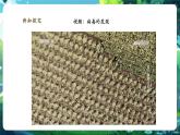 【核心素養(yǎng)優(yōu)質(zhì)課】人教版生物七年級(jí)下冊(cè)2.3.4.1病毒（第一課時(shí)）（課件+教案+學(xué)案+練習(xí)+大單元整體教學(xué)設(shè)計(jì)）