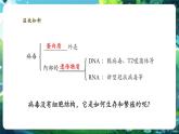 【核心素養(yǎng)優(yōu)質(zhì)課】人教版生物七年級(jí)下冊(cè)2.3.4.2病毒（第二課時(shí)）（課件+教案+學(xué)案+練習(xí)+大單元整體教學(xué)設(shè)計(jì)）