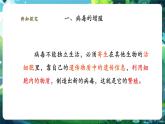 【核心素養(yǎng)優(yōu)質(zhì)課】人教版生物七年級(jí)下冊(cè)2.3.4.2病毒（第二課時(shí)）（課件+教案+學(xué)案+練習(xí)+大單元整體教學(xué)設(shè)計(jì)）