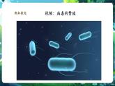 【核心素養(yǎng)優(yōu)質(zhì)課】人教版生物七年級(jí)下冊(cè)2.3.4.2病毒（第二課時(shí)）（課件+教案+學(xué)案+練習(xí)+大單元整體教學(xué)設(shè)計(jì)）