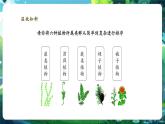 【核心素養(yǎng)優(yōu)質(zhì)課】人教版生物七年級(jí)下冊(cè)2.4.1.2嘗試對(duì)生物進(jìn)行分類(lèi)（第二課時(shí)）（課件+教案+學(xué)案+練習(xí)+大單元整體教學(xué)設(shè)計(jì)）