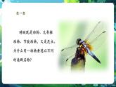 【核心素養(yǎng)優(yōu)質(zhì)課】人教版生物七年級下冊2.4.2.1從種到界（第一課時）（課件+教案+學案+練習+大單元整體教學設(shè)計）