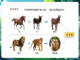 【核心素養(yǎng)優(yōu)質(zhì)課】人教版生物七年級下冊2.4.2.2從種到界（第二課時）（課件+教案+學案+練習+大單元整體教學設(shè)計）