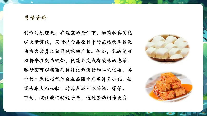 《2.5综合实践项目 利用细菌或真菌制作发酵食品》课件第5页