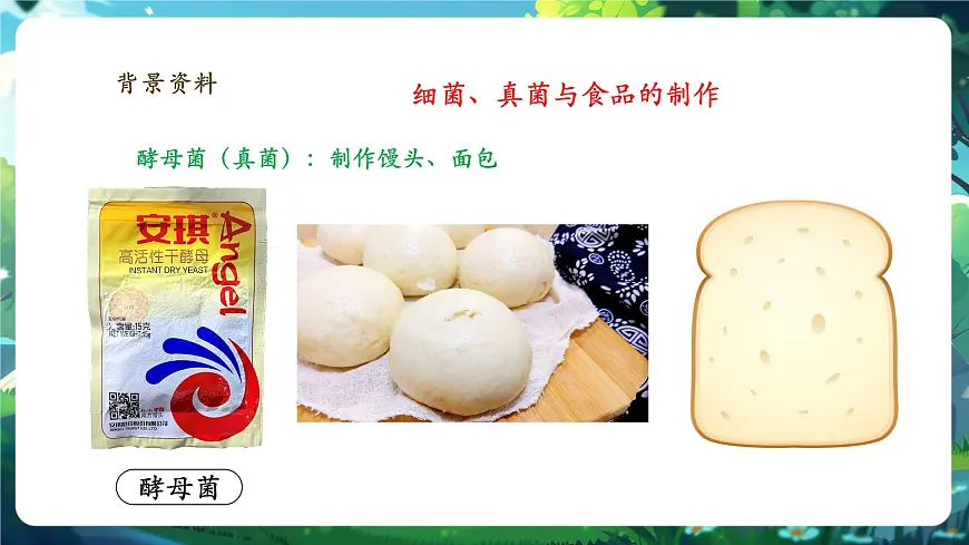 《2.5综合实践项目 利用细菌或真菌制作发酵食品》课件第6页