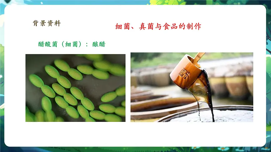 《2.5综合实践项目 利用细菌或真菌制作发酵食品》课件第7页