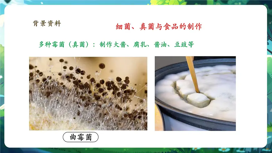 《2.5综合实践项目 利用细菌或真菌制作发酵食品》课件第8页