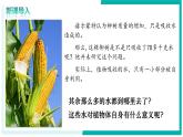 3.2.1 水的利用與散失 - 初中生物七年級下冊 同步教學(xué)課件+教學(xué)設(shè)計(jì)（人教版2024）