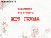 3.1.3 開花和結(jié)果 課件 2025學年人教版生物七年級下冊
