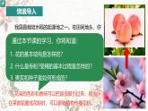 3.1.3 開花和結(jié)果 課件 2025學年人教版生物七年級下冊