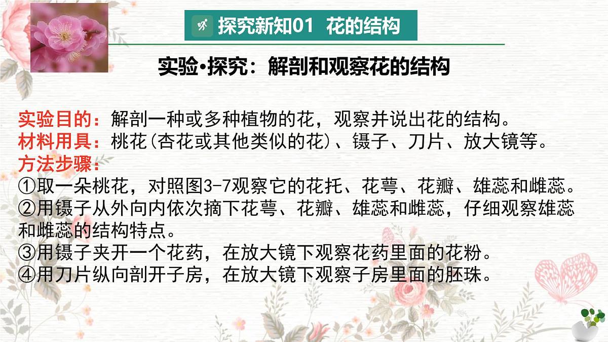 3.1.3 开花和结果 课件 2025学年人教版生物七年级下册第4页