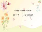 3.1.3 開花和結(jié)果 課件-2024-2025學年人教版生物七年級下冊