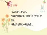 3.1.3 開花和結(jié)果 課件-2024-2025學年人教版生物七年級下冊