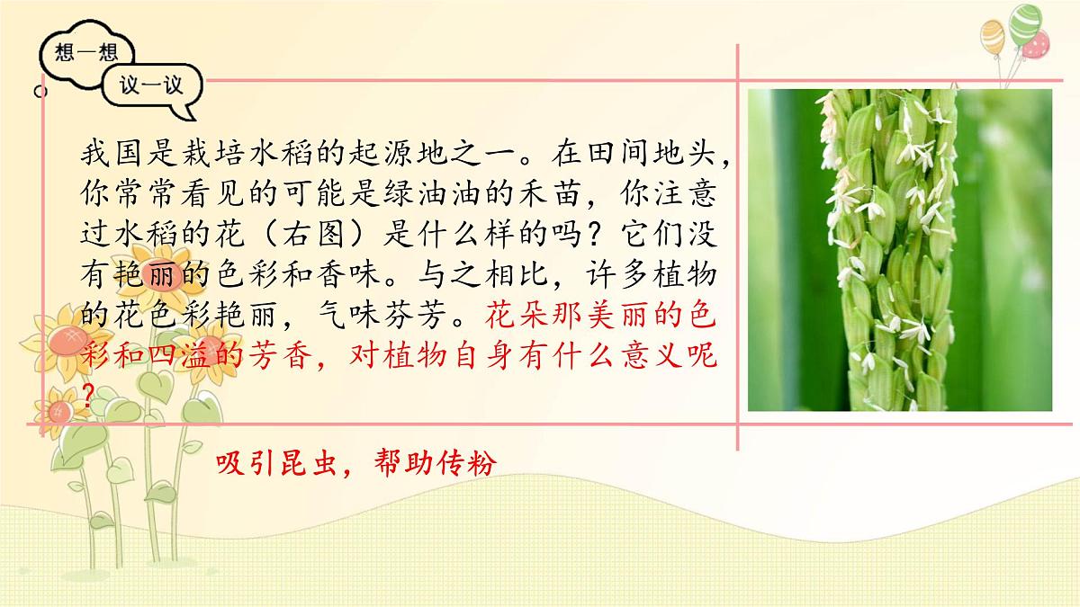 3.1.3 开花和结果 课件-2024-2025学年人教版生物七年级下册第3页