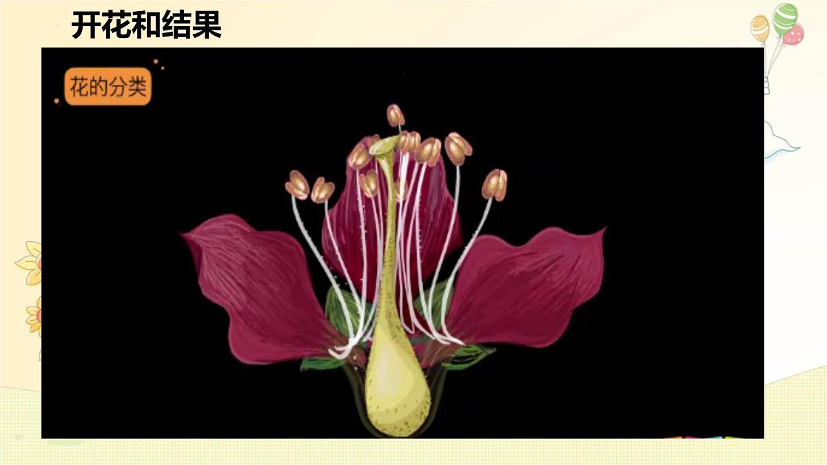 3.1.3 开花和结果 课件-2024-2025学年人教版生物七年级下册第4页