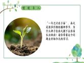3.1.1 种子的萌发 课件-2024-2025学年人教版生物七年级下册