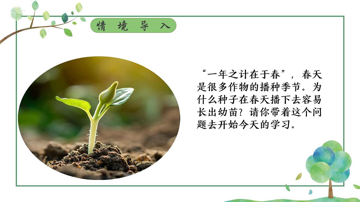 3.1.1 种子的萌发 课件-2024-2025学年人教版生物七年级下册第3页