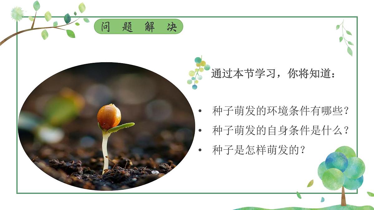 3.1.1 种子的萌发 课件-2024-2025学年人教版生物七年级下册第4页