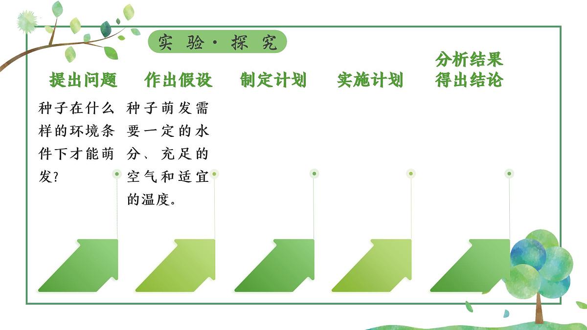 3.1.1 种子的萌发 课件-2024-2025学年人教版生物七年级下册第5页