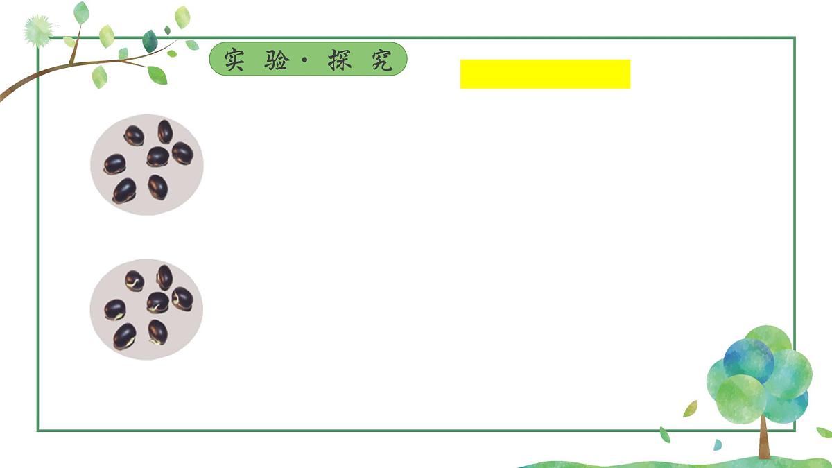 3.1.1 种子的萌发 课件-2024-2025学年人教版生物七年级下册第6页