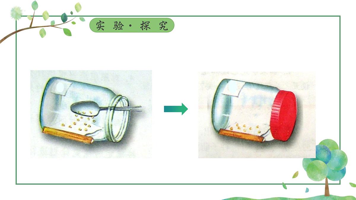 3.1.1 种子的萌发 课件-2024-2025学年人教版生物七年级下册第7页