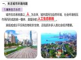 24.3 關(guān)注城市環(huán)境 2025學(xué)年八年級生物下冊同步教學(xué)課件（北師大版）