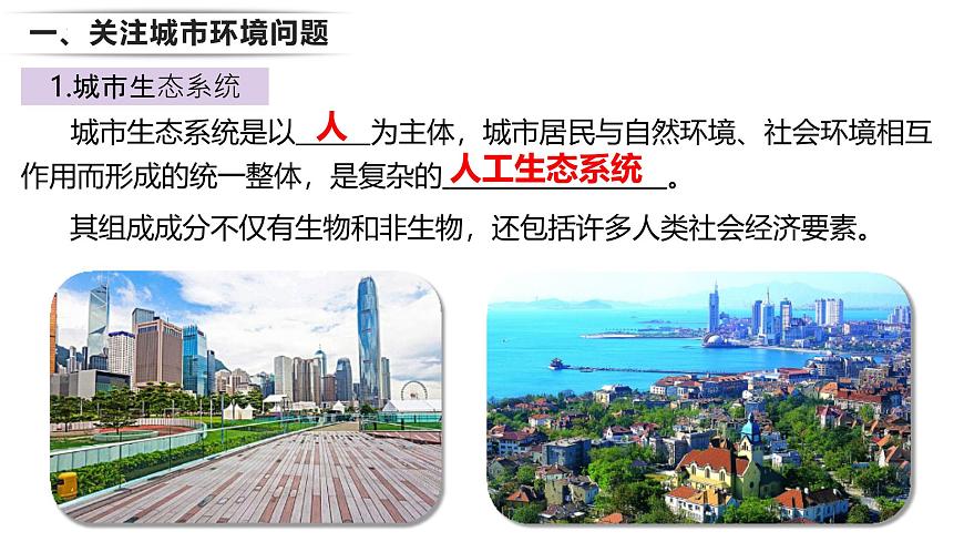 24.3 关注城市环境 2025学年八年级生物下册同步教学课件（北师大版）第3页