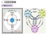 24.3 關(guān)注城市環(huán)境 2025學(xué)年八年級生物下冊同步教學(xué)課件（北師大版）
